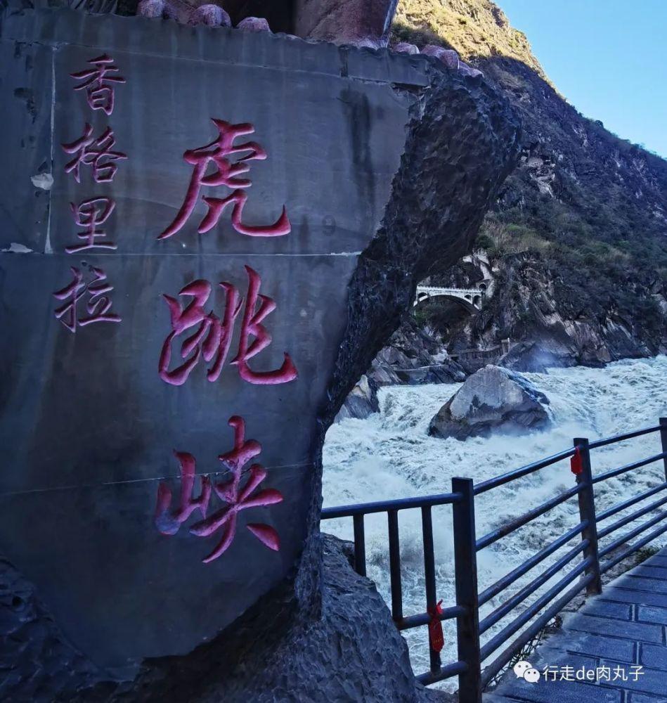 三亚沙滩现多起剧毒僧帽水母伤人事件，文旅部门已到场处理
